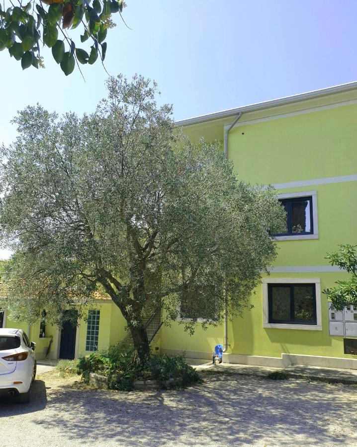 Apartments Adri, Parking In The Yard Rovinj Exterior photo